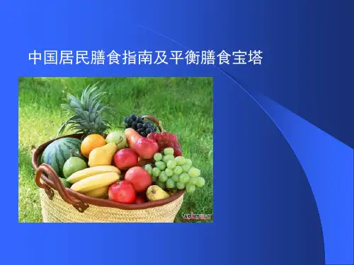 膳食指南