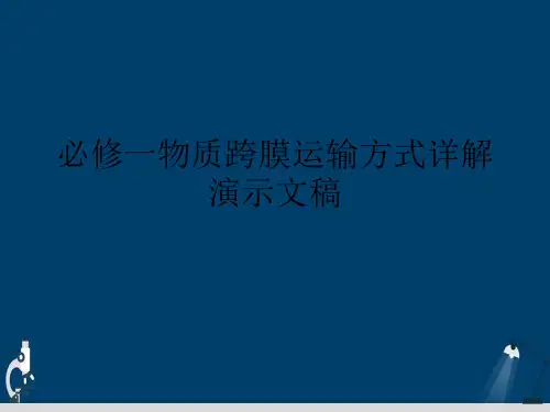 必修一物质跨膜运输方式详解演示文稿