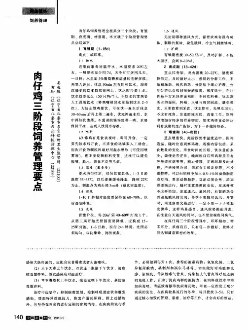 肉仔鸡三阶段饲养管理要点