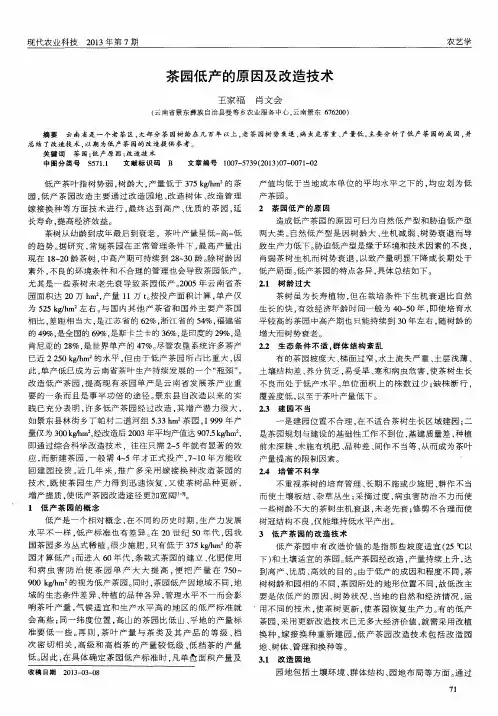 茶园低产的原因及改造技术