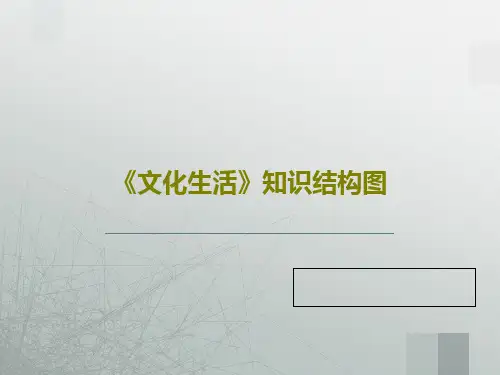 《文化生活》知识结构图共29页文档