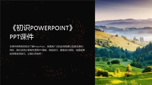 《初识POWERPOINT》课件