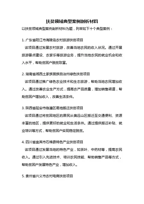 扶贫领域典型案例剖析材料