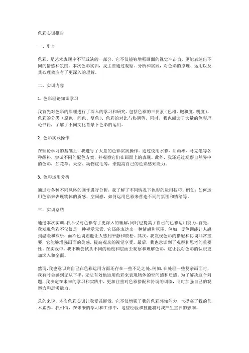 色彩实训报告