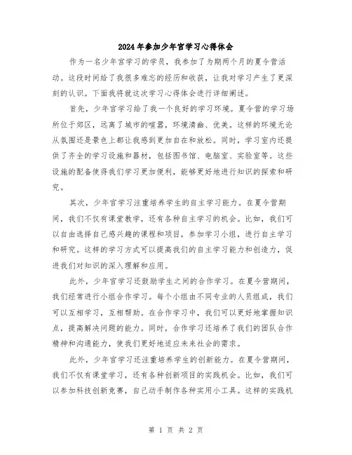 2024年参加少年宫学习心得体会