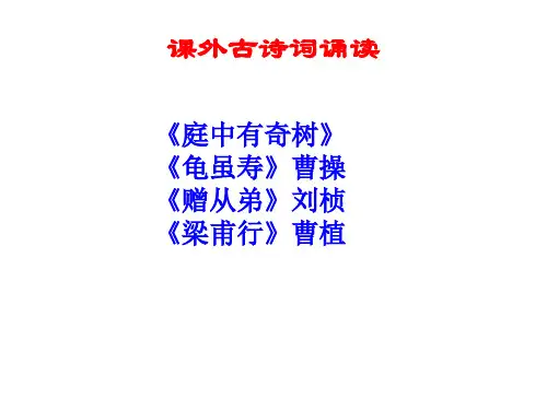 人教版八年级语文上册 课外古诗词诵读《庭中有奇树》《龟虽寿》《赠从弟》《梁甫行》课件 (共35张PPT)
