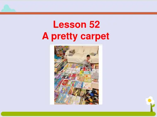 新概念英语第二册Lesson 52 A pretty carpet 课件(共19张PPT)