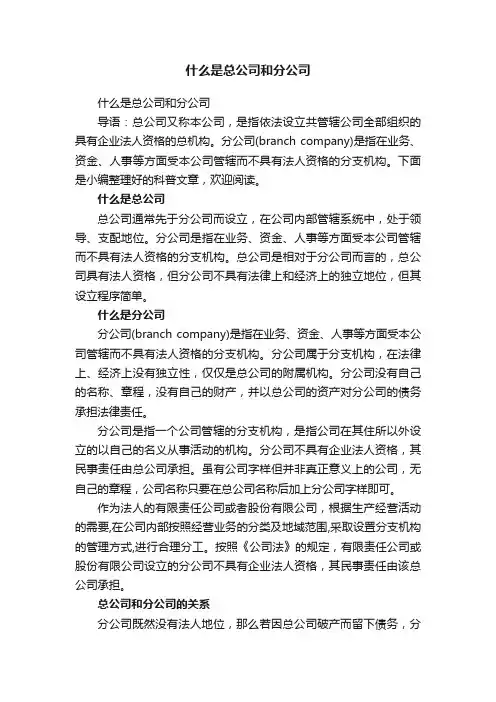什么是总公司和分公司
