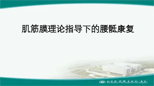 肌筋膜理论指导下的腰骶康复-62d0c55f182e453610661ed9ad51f01dc3815725