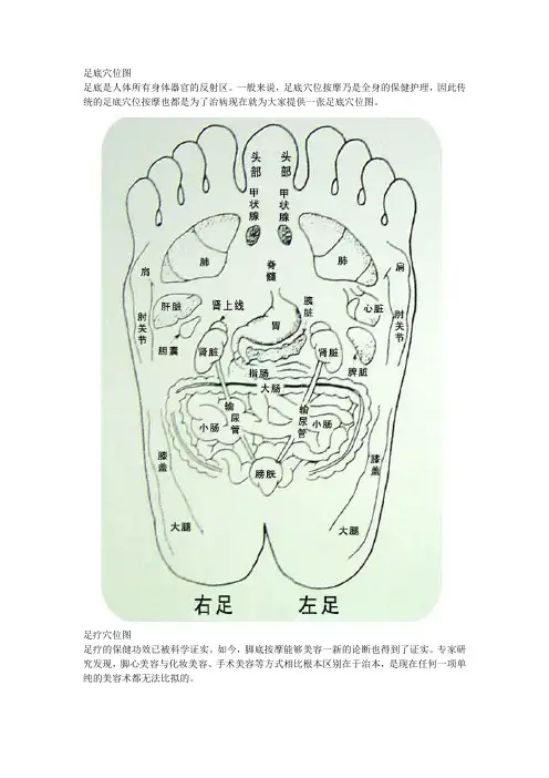 足底穴位图