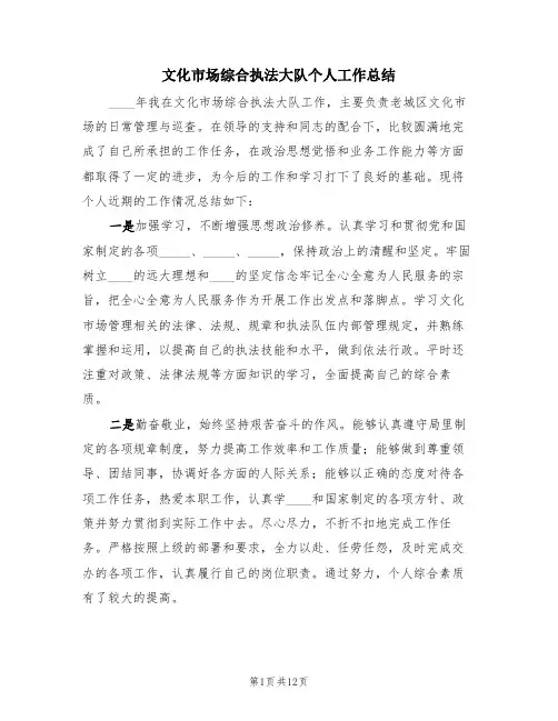 文化市场综合执法大队个人工作总结(3篇)