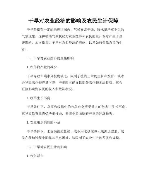 干旱对农业经济的影响及农民生计保障