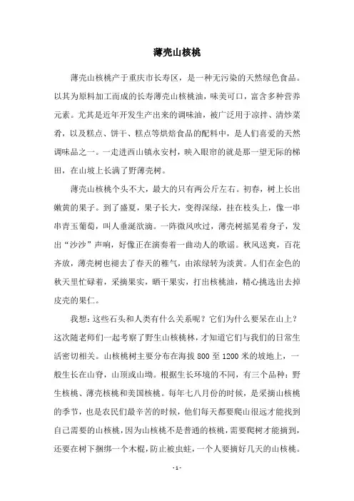 薄壳山核桃