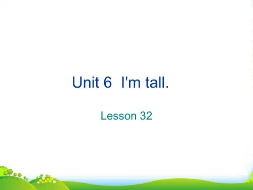 精通版四年级英语上册Unit 6 I'm tall Lesson 32 课件2