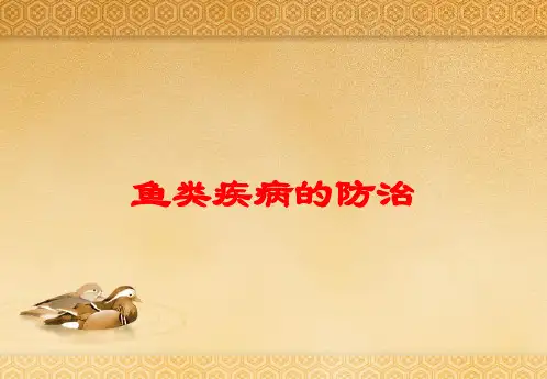 鱼类疾病的防治培训课件