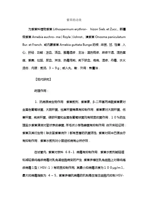 紫草的作用和紫草油的制作