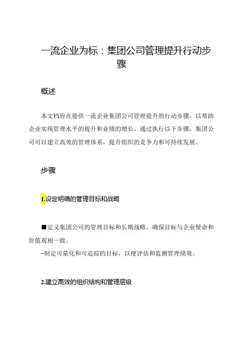 一流企业为标：集团公司管理提升行动步骤