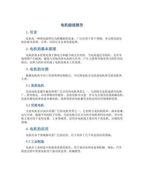 电机综述报告