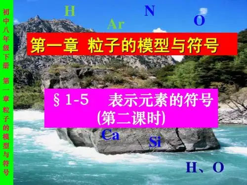 第五节： 表示元素的符号(第二课时)