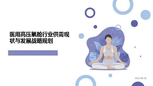 医用高压氧舱行业供需现状与发展战略规划