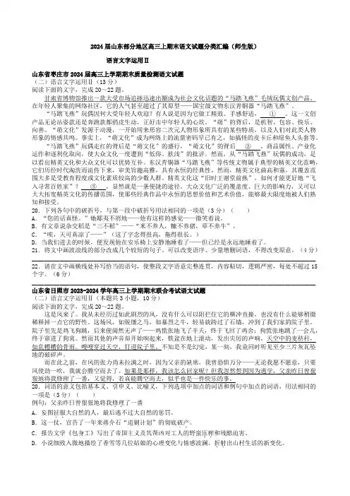 语言文字运用Ⅱ：2024届山东高三上期末语文试题分类汇编(师生版)