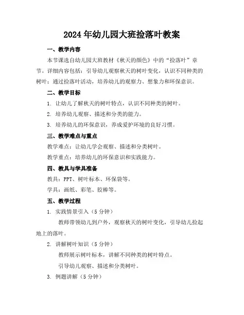 2024年幼儿园大班捡落叶教案