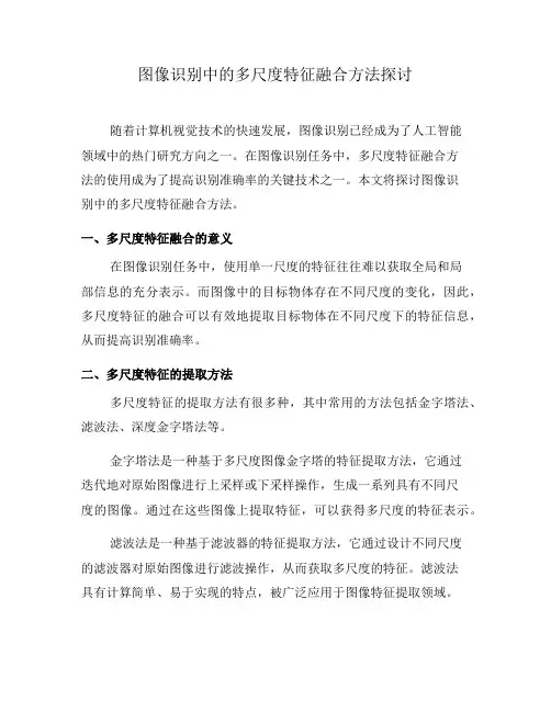 图像识别中的多尺度特征融合方法探讨(六)
