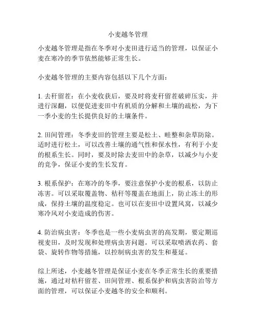 小麦越冬管理