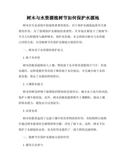 树木与水资源植树节如何保护水源地