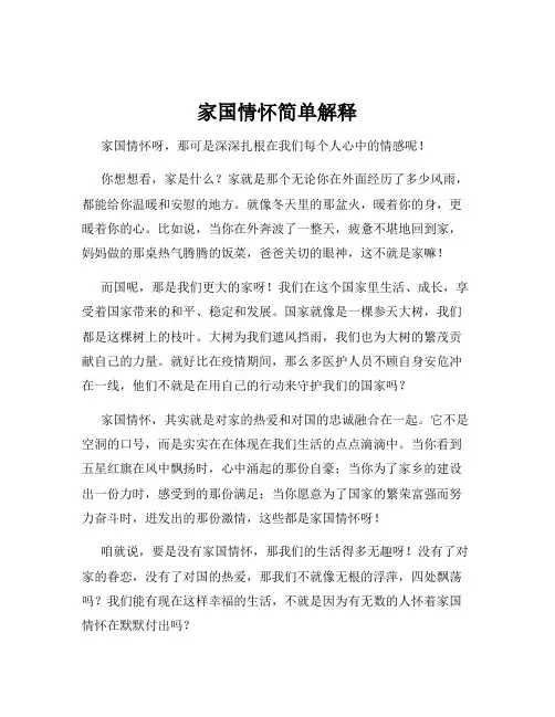 家国情怀简单解释