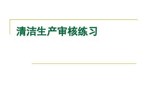 清洁生产审核练习 清洁生产与应用 教学课件