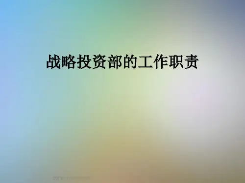战略投资部的工作职责