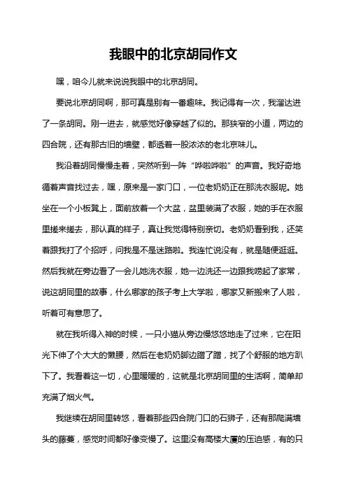我眼中的北京胡同作文