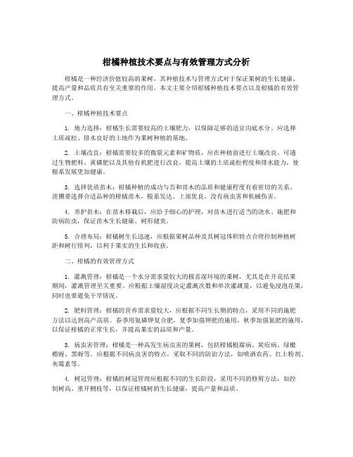 柑橘种植技术要点与有效管理方式分析