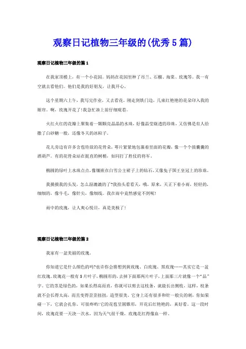 观察日记植物三年级的(优秀5篇)