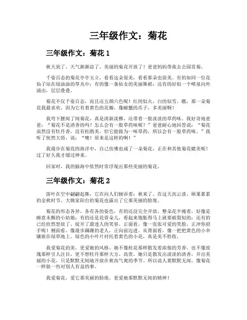 三年级作文菊花