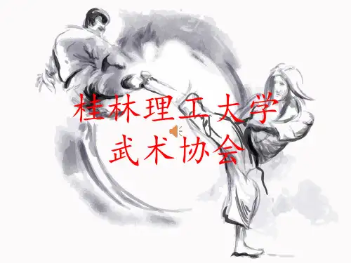 武术协会星级评比答辩PPT(2016年)