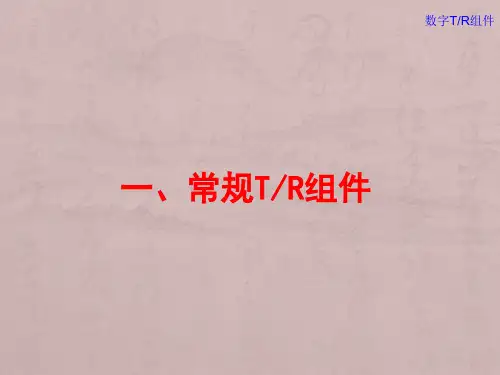 数字TR组件及其研究