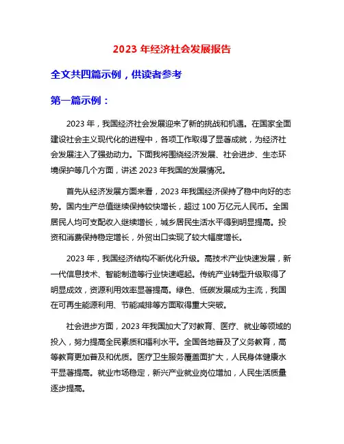 2023年经济社会发展报告