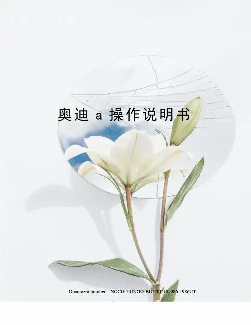 奥迪a操作说明书