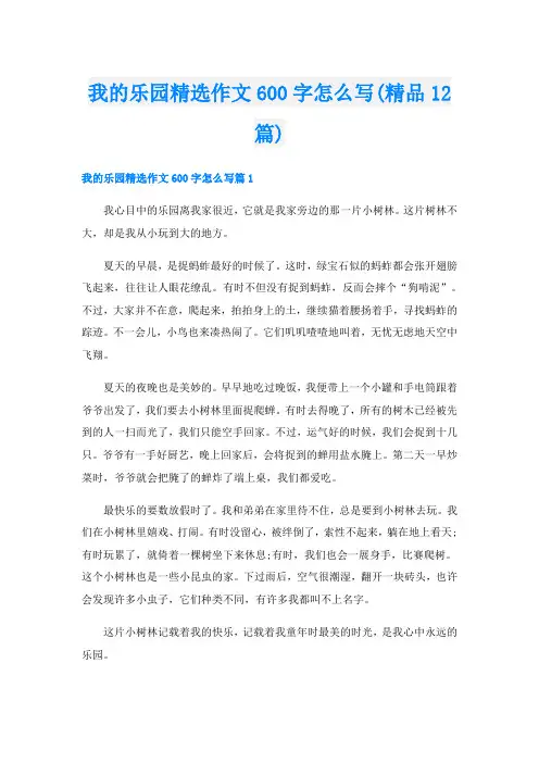 我的乐园精选作文600字怎么写(精品12篇)
