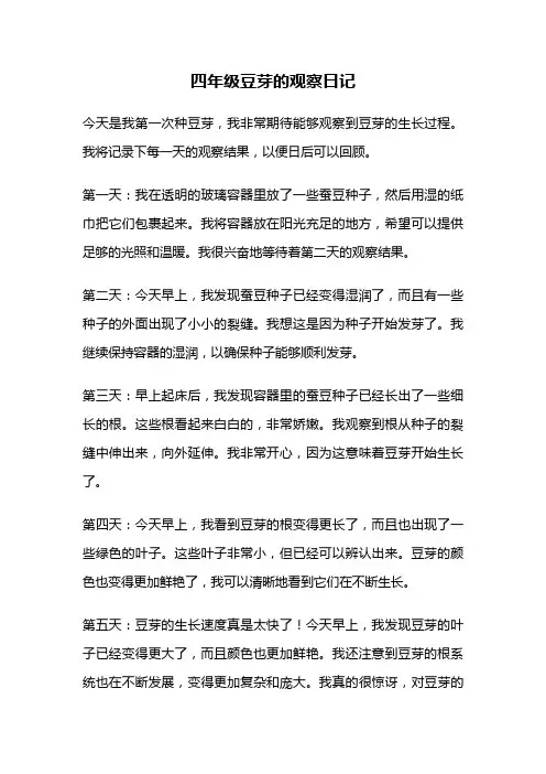 四年级豆芽的观察日记