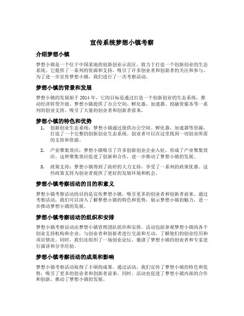 宣传系统梦想小镇考察