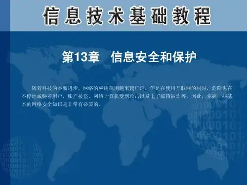 第13章 信息安全和保护