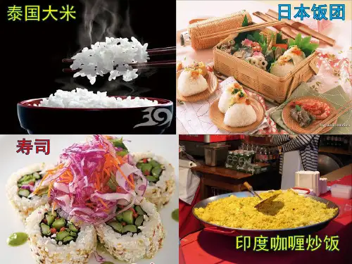 《季风水田农业》课件ppt