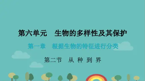 人教版生物八年级上册6.1.2从种到界课件(共28张PPT)