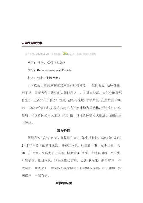 云南松造林技巧[资料]