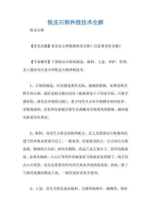 铁皮石斛种植技术全解