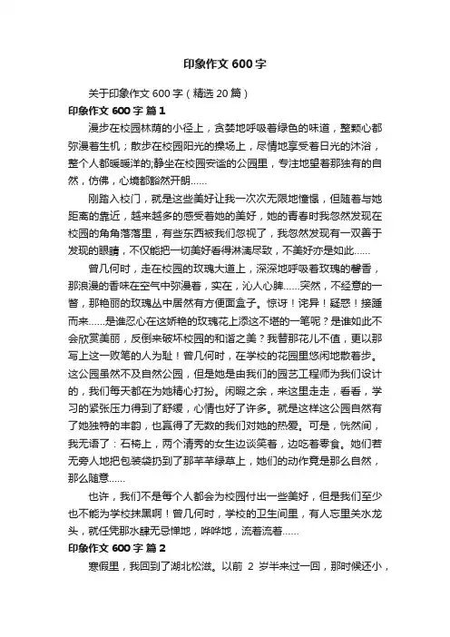 关于印象作文600字（精选20篇）