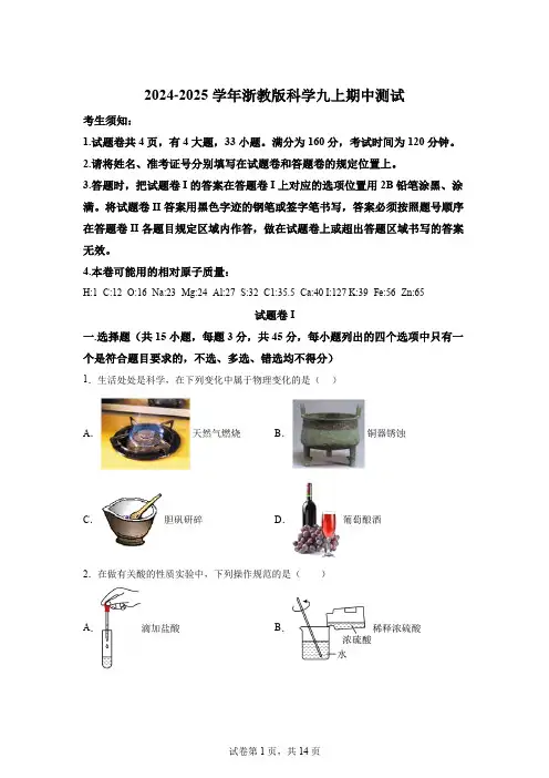 2024-2025学年浙教版科学九上期中测试